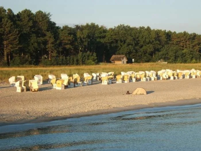 Dachgeschosswohnung in Zingst - F6790