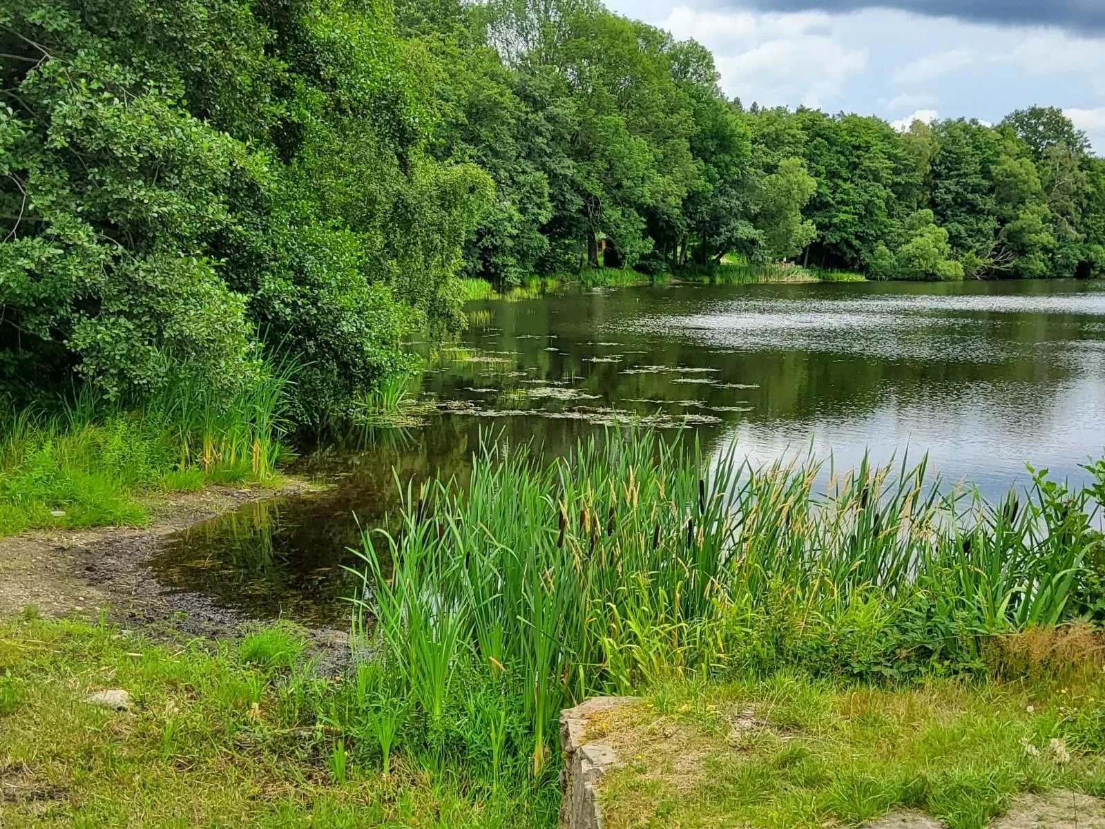 FeWo am Pochwerk-Badeteich
