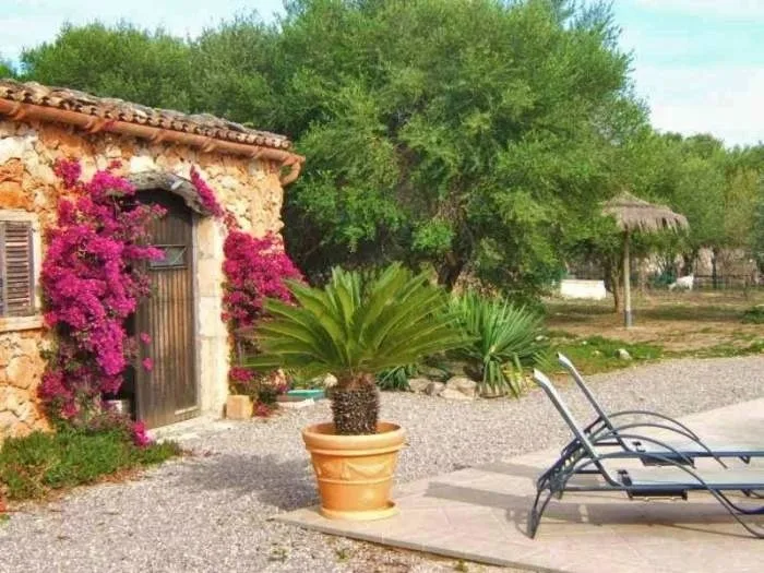 Ferienhaus mit Pool auf Finca - F6338