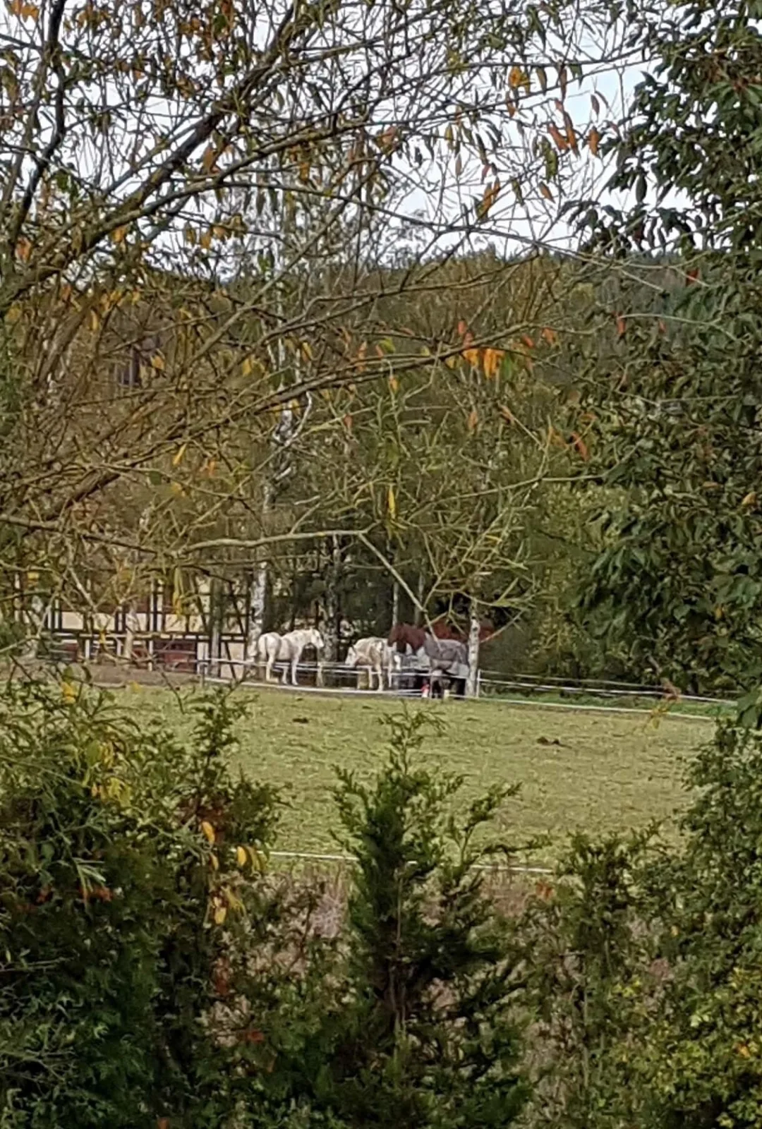 Ferienhäuser Andrea - FH 09 - Haus Ostara