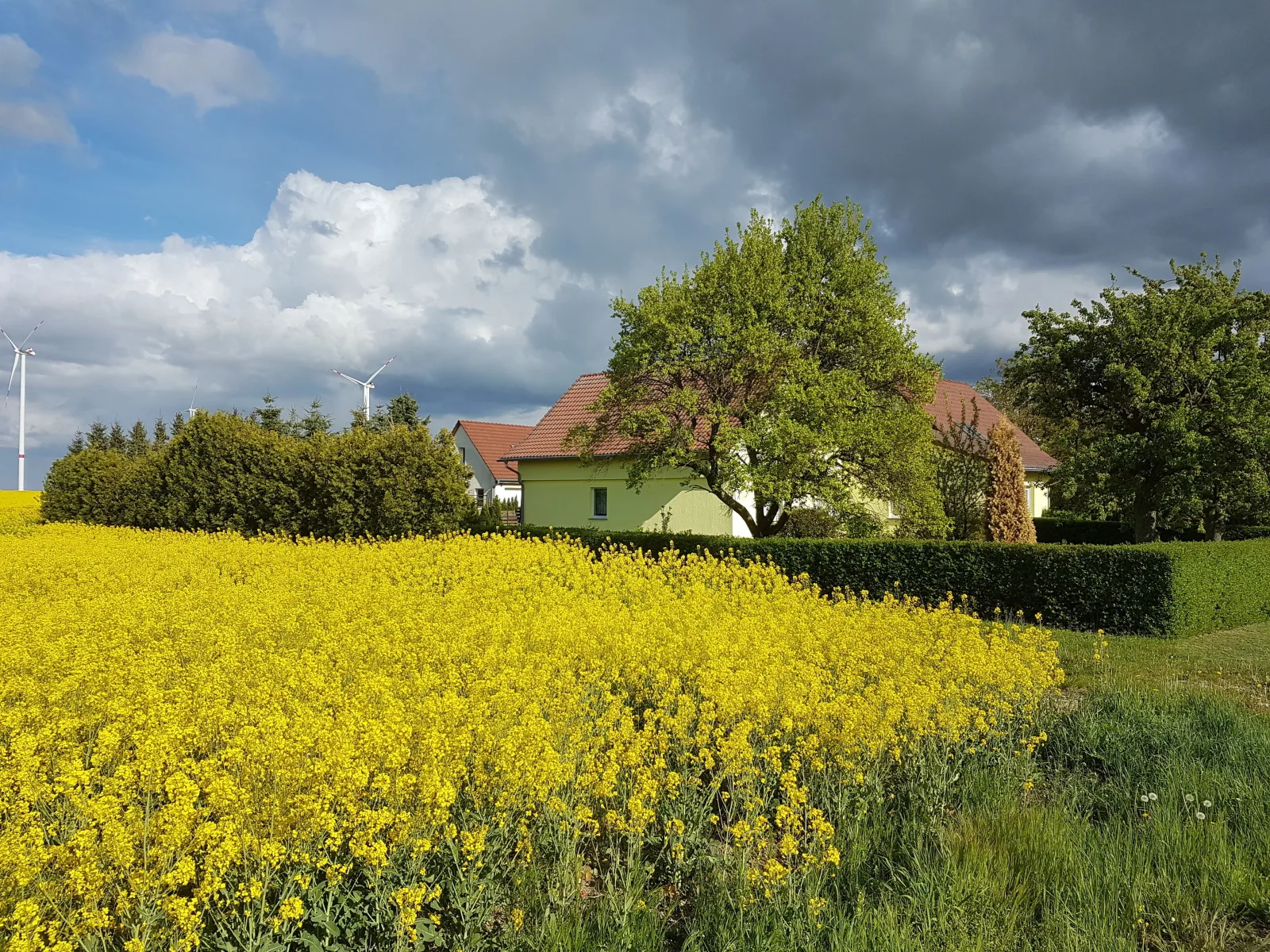 Ferienhaus Uckermark