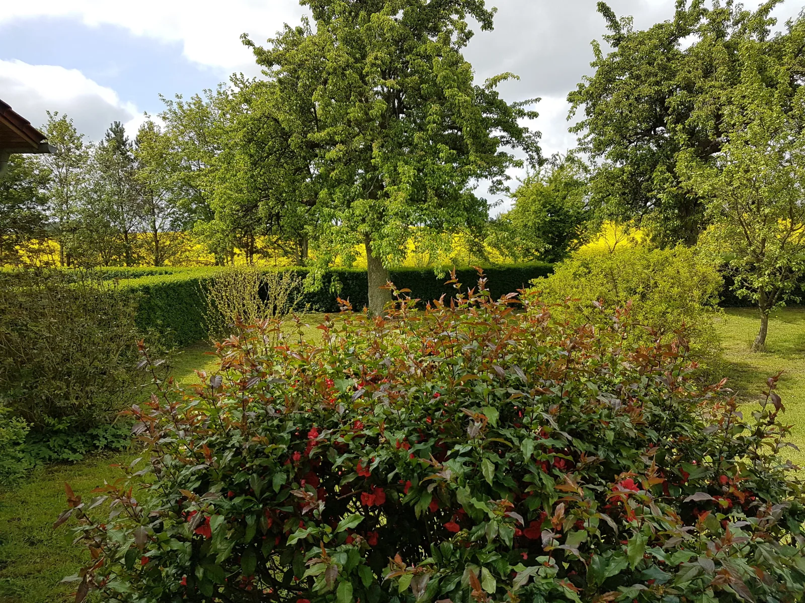Ferienhaus Uckermark