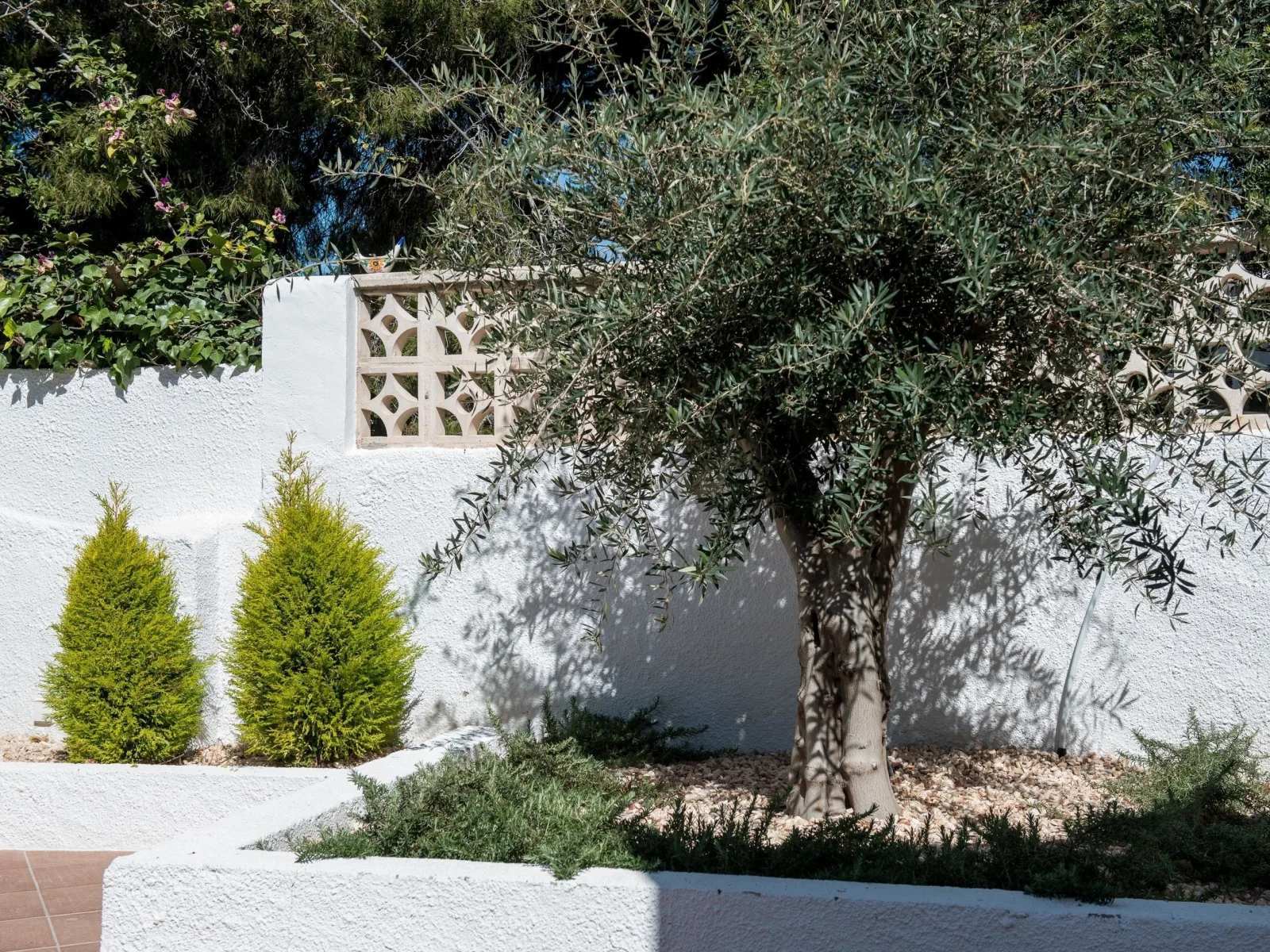 Casa Marifach
