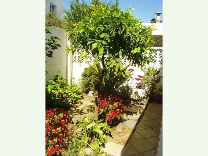 Bungalow mit Garten & Terrasse - F8056