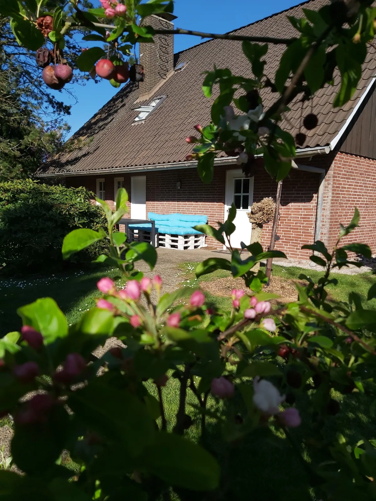 2 Einzelzimmer Appartement Jork Altes Land bei HH