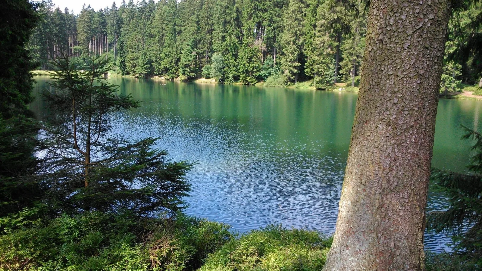 Fewo Hemlock Hahnenklee, mit Balkon - Wäschepaket & Energie inkl.