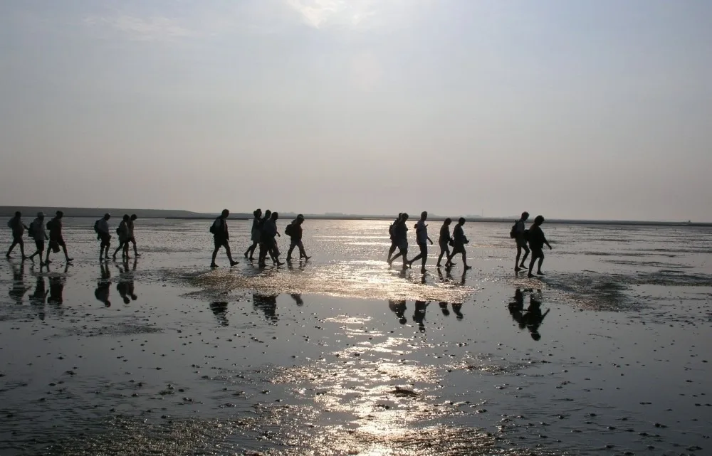 Gleis acht