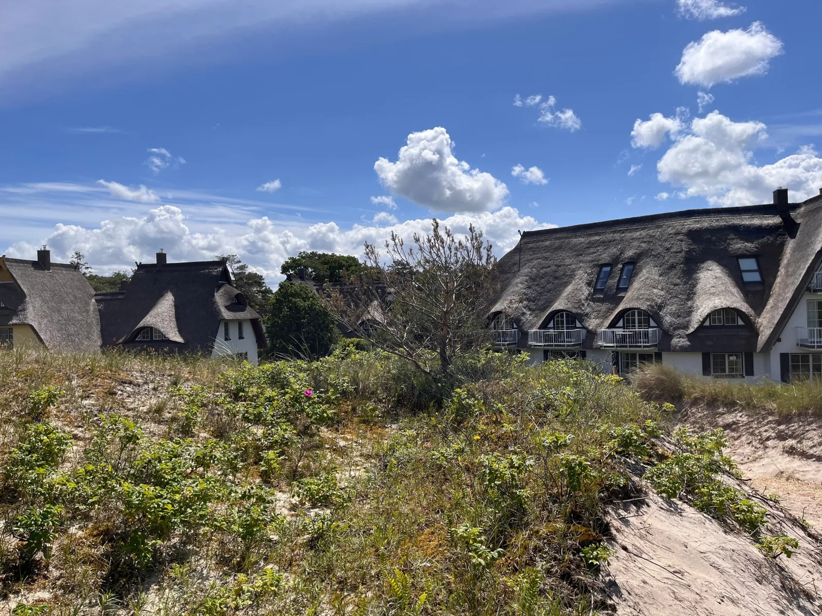 Dünenmeer Ferienhäuser
