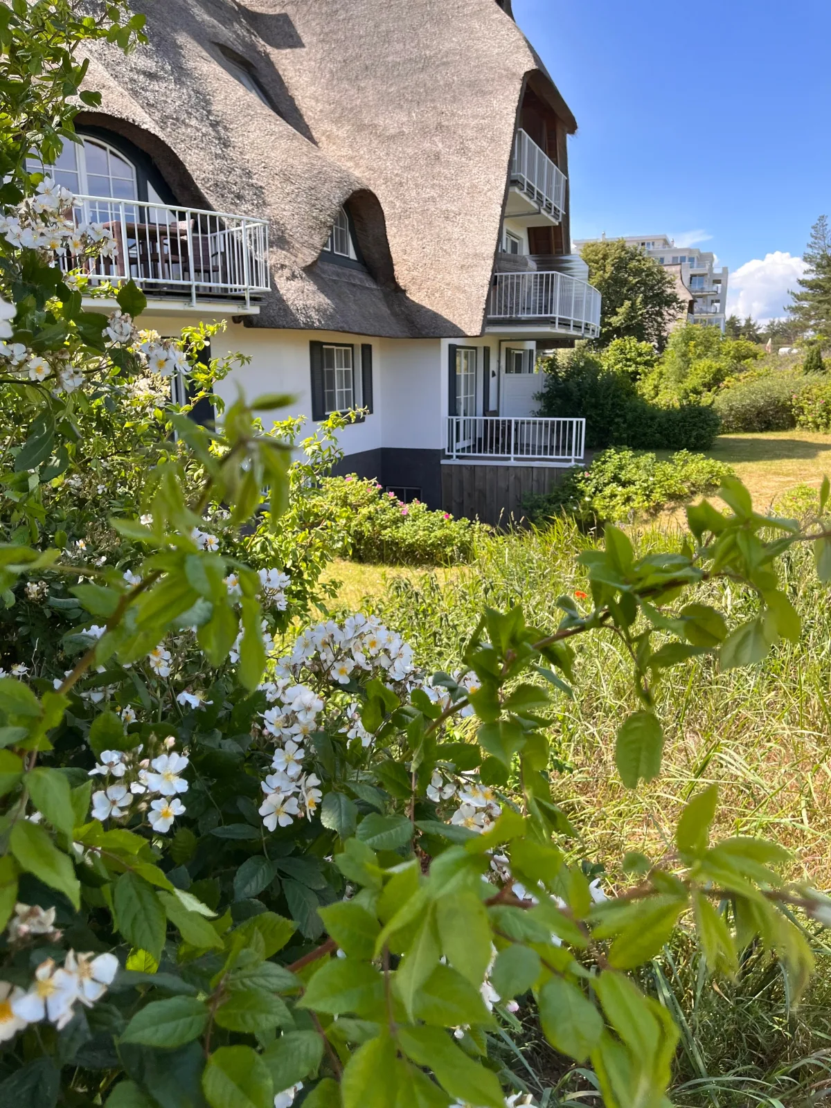 Dünenmeer Ferienhäuser