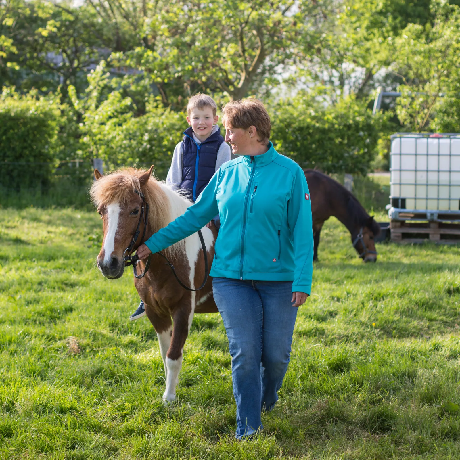 Ferienhof Marquardt Fewo Gänseblümchen