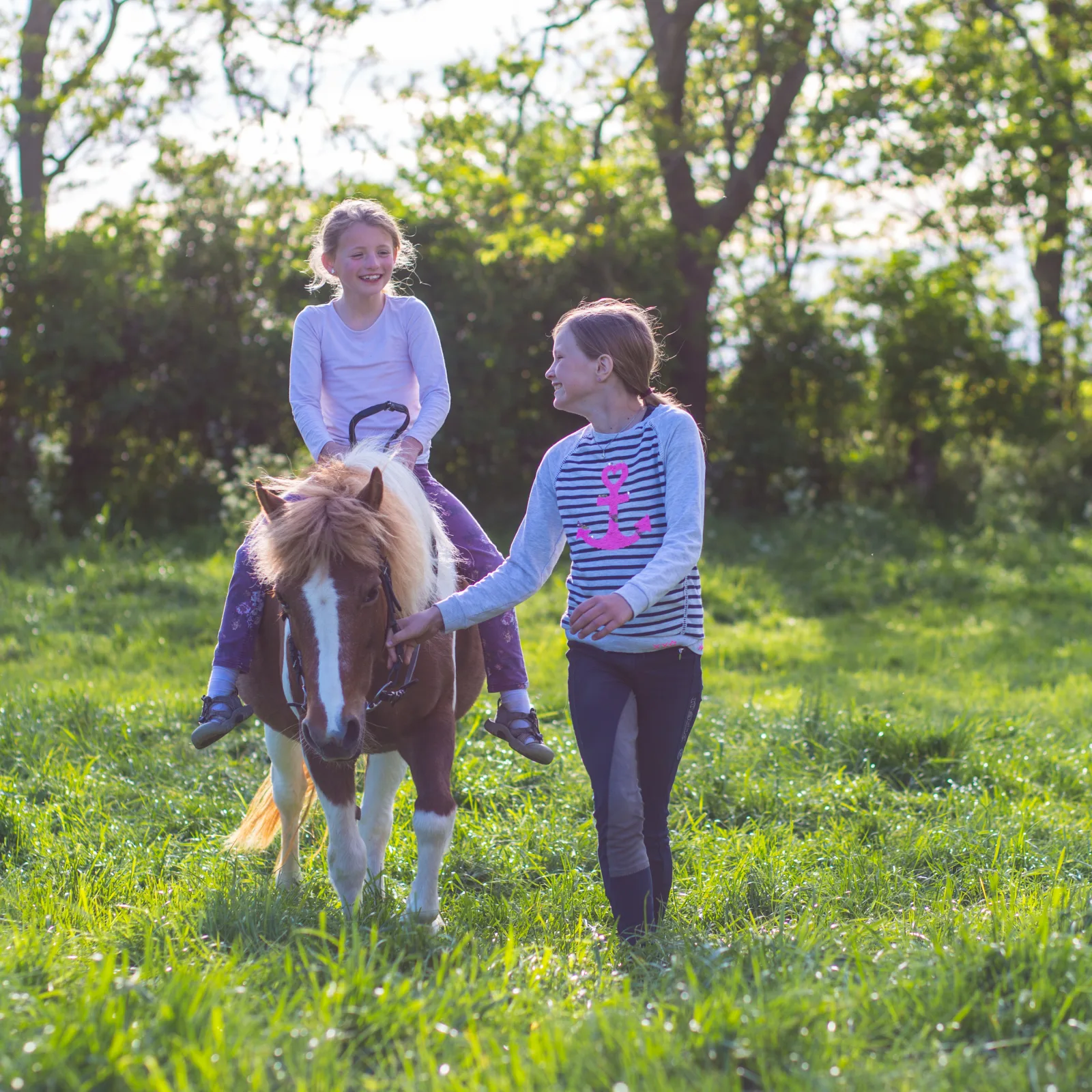 Ferienhof Marquardt Fewo Mohnblume