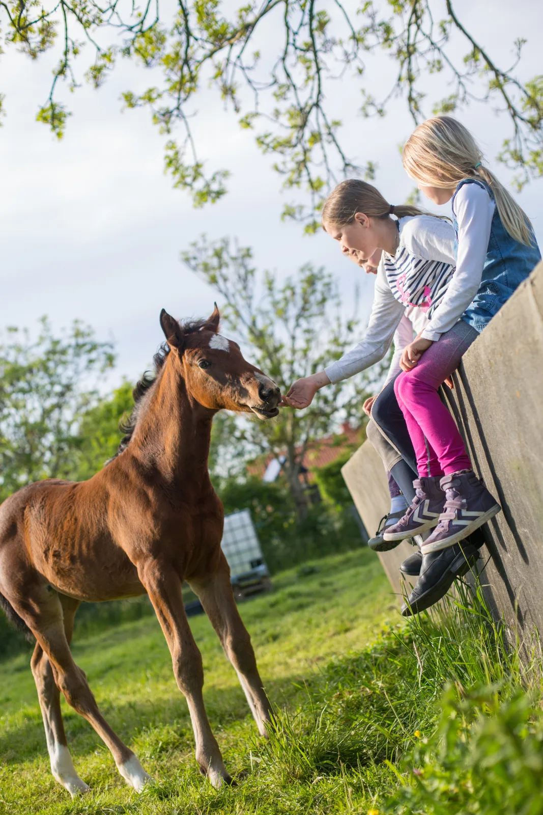 Ferienhof Marquardt Fewo Sonneneck