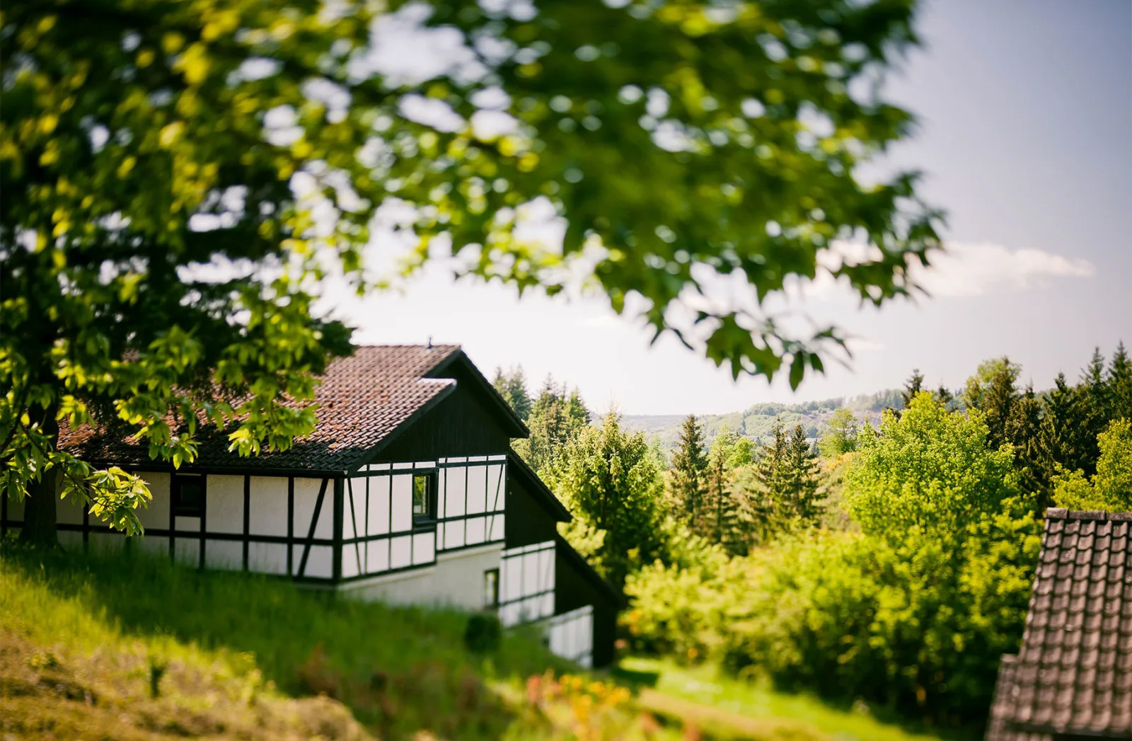 Ferienhaus "Ahorn" 1