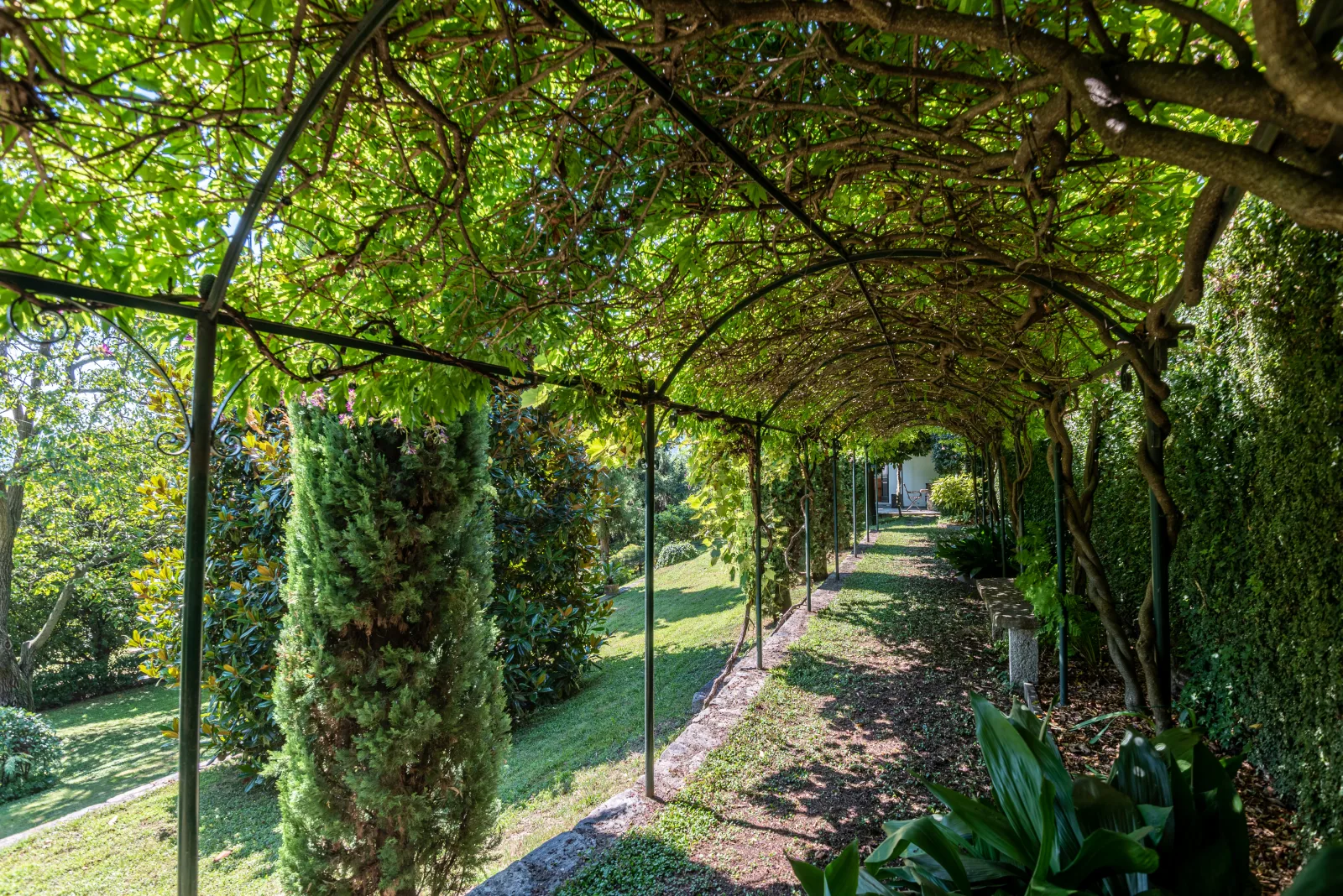 Flairhouse Parco