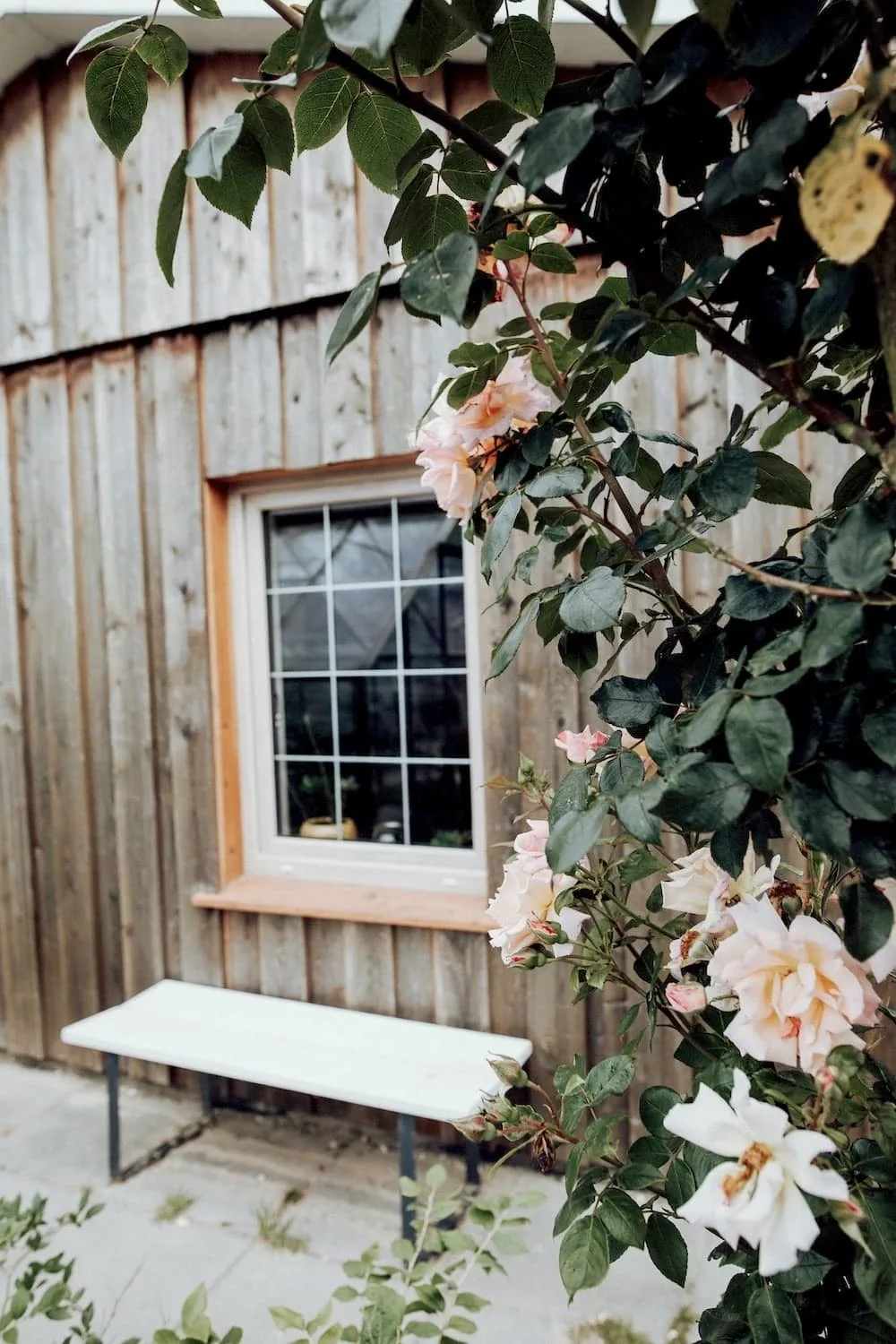 Ferienhaus Lytte Hytte