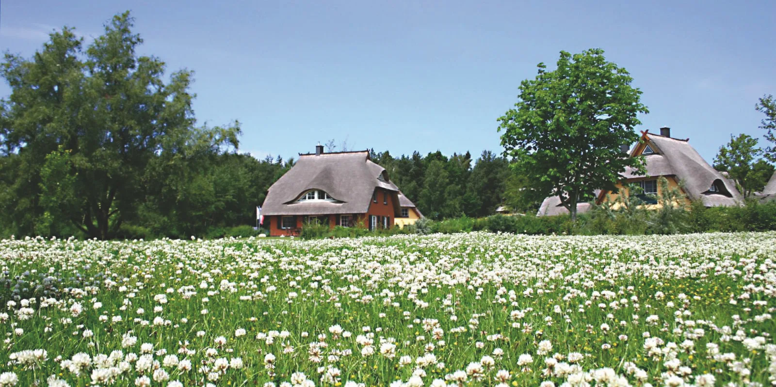 Reetgedecktes Ferienhaus