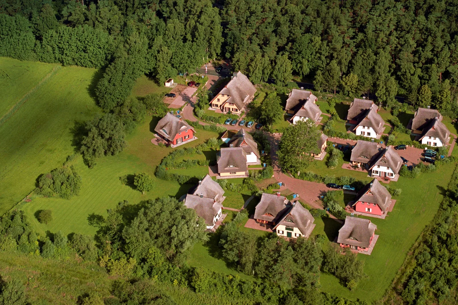 Reetgedecktes Ferienhaus