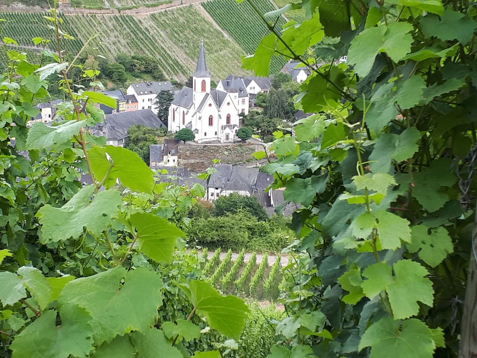 Altes Winzerhaus
