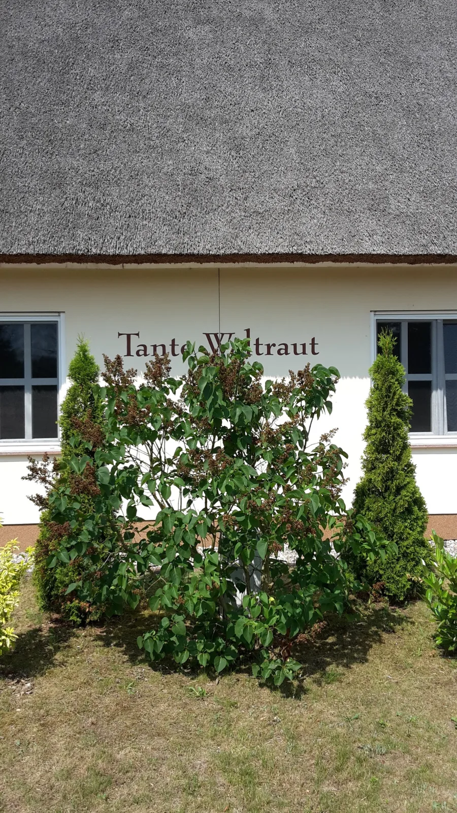 Häuschen "Tante Waltraut"