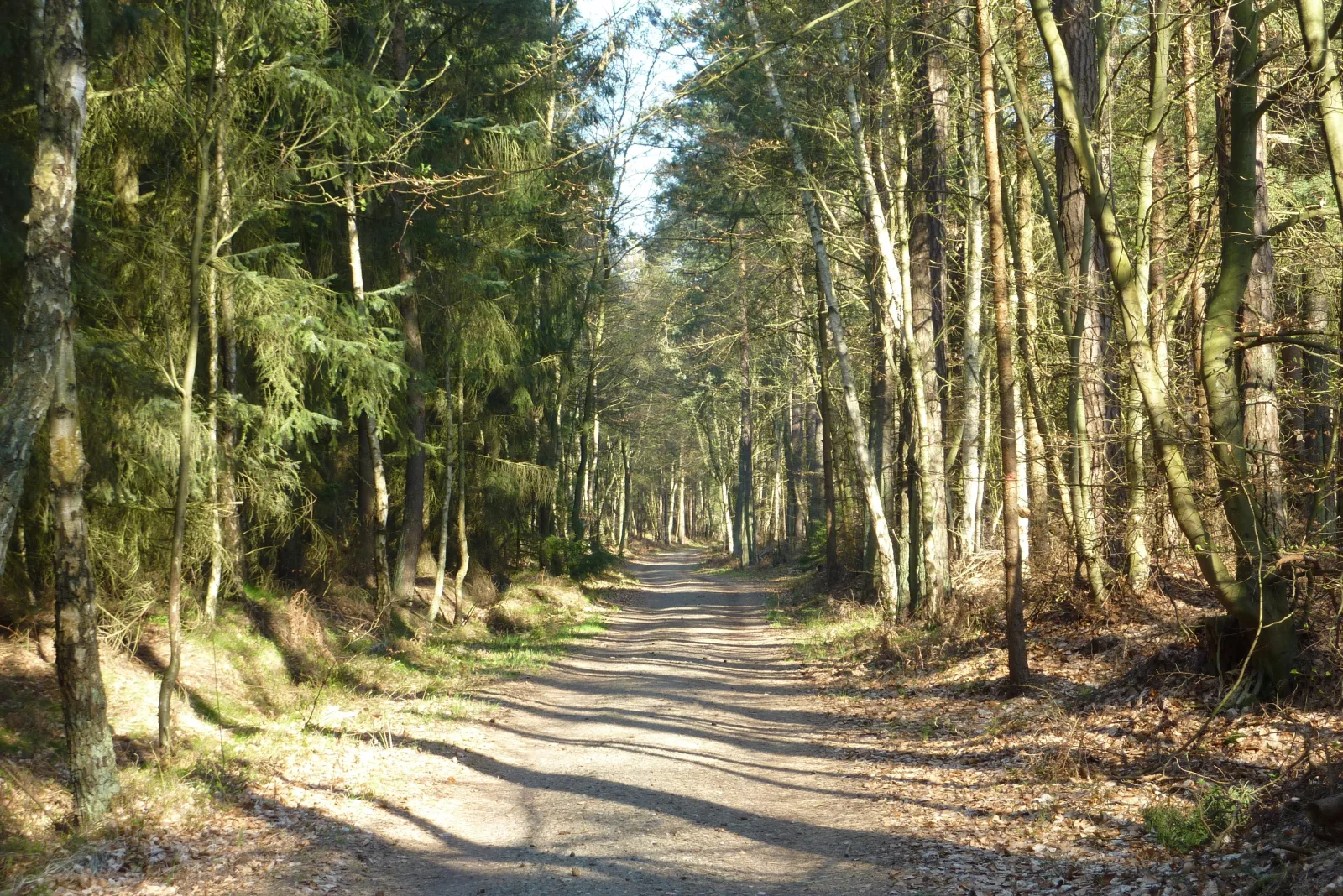 FeWo Rothirsch - Heuser Prerow