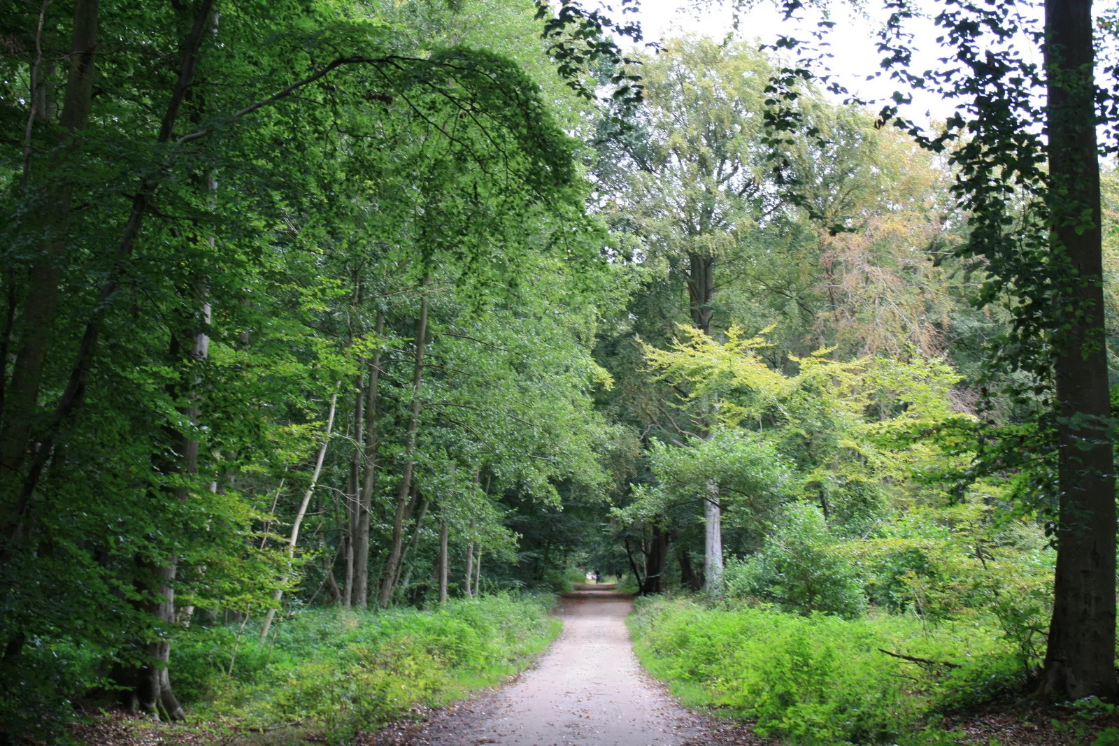 FeWo Leuchtturm - Heuser Prerow