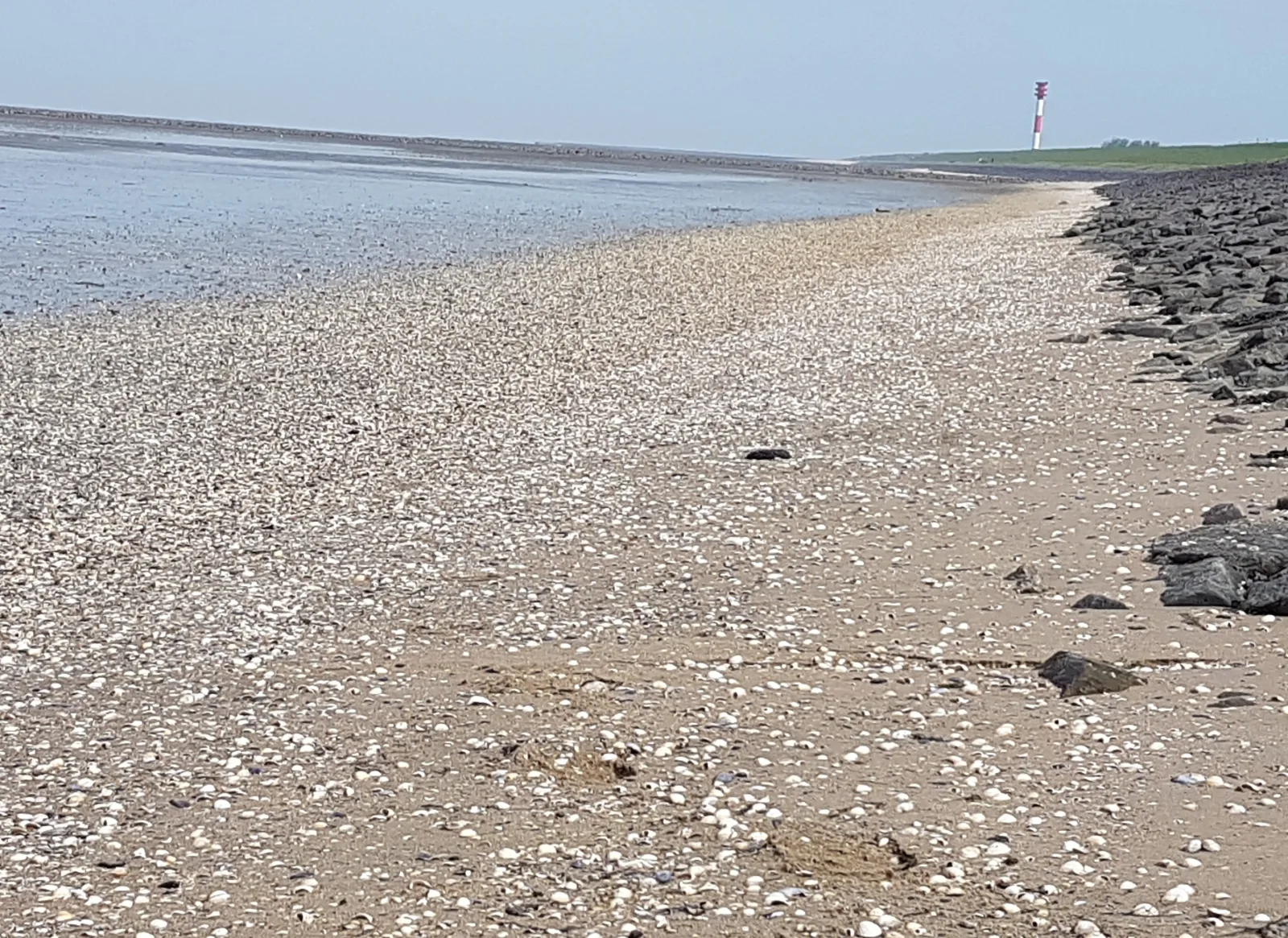 Haus am Meer Eckwarden