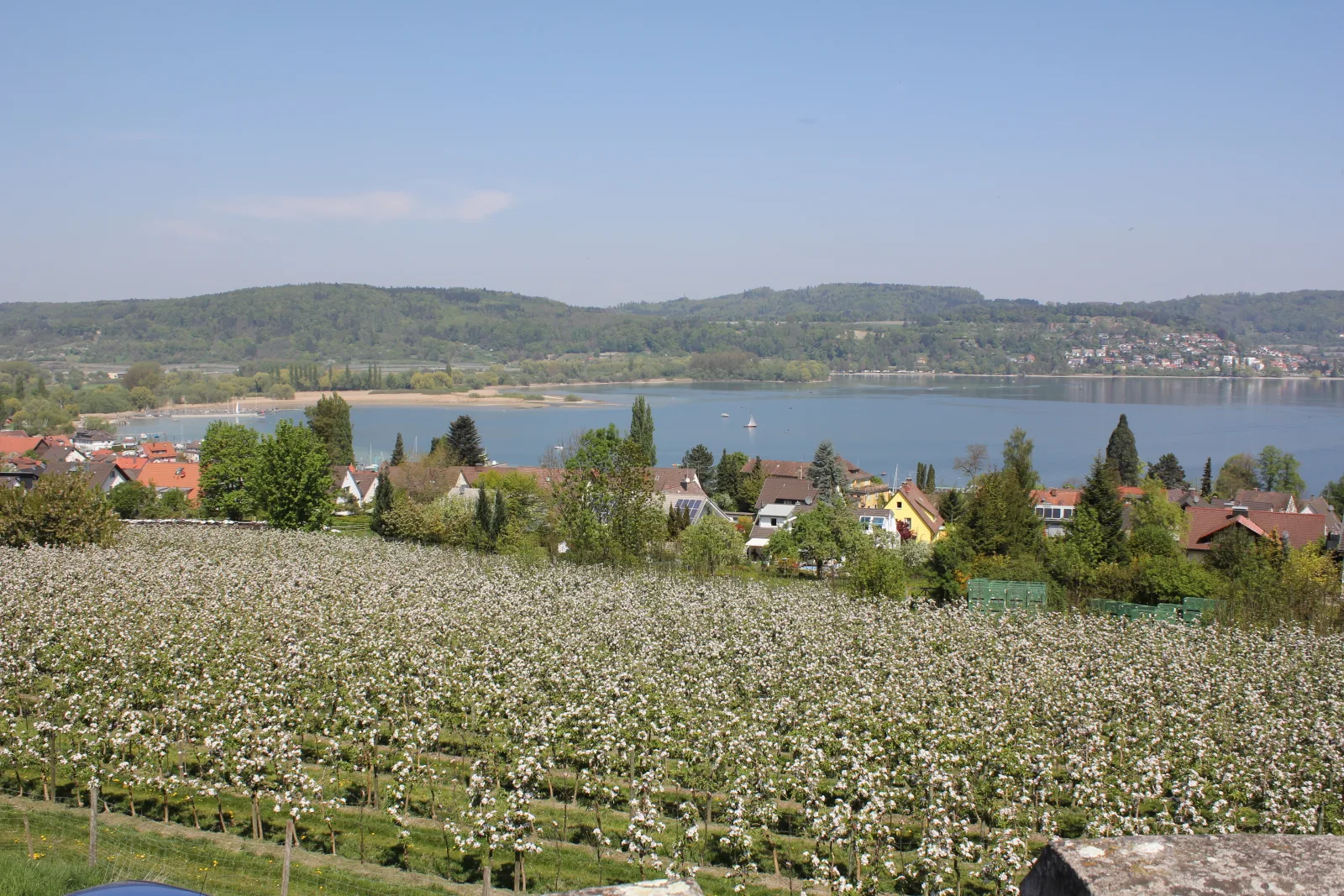 Seeresidenz May