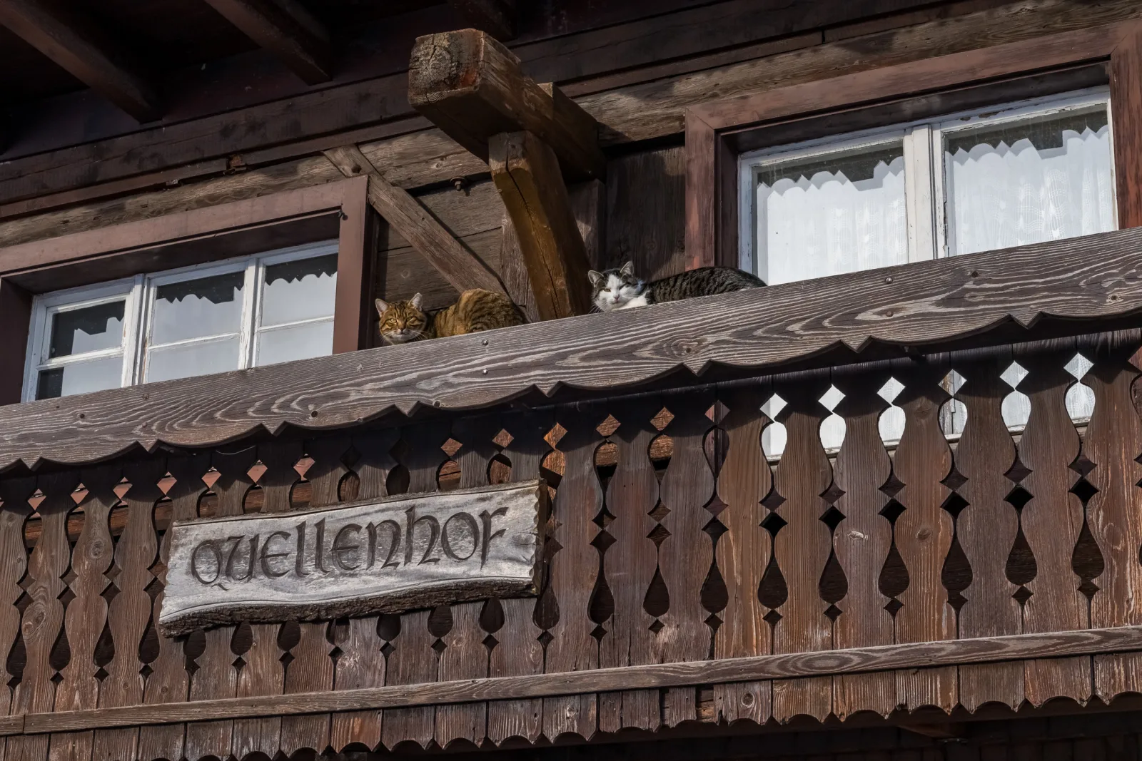 Schwarzwaldliebe