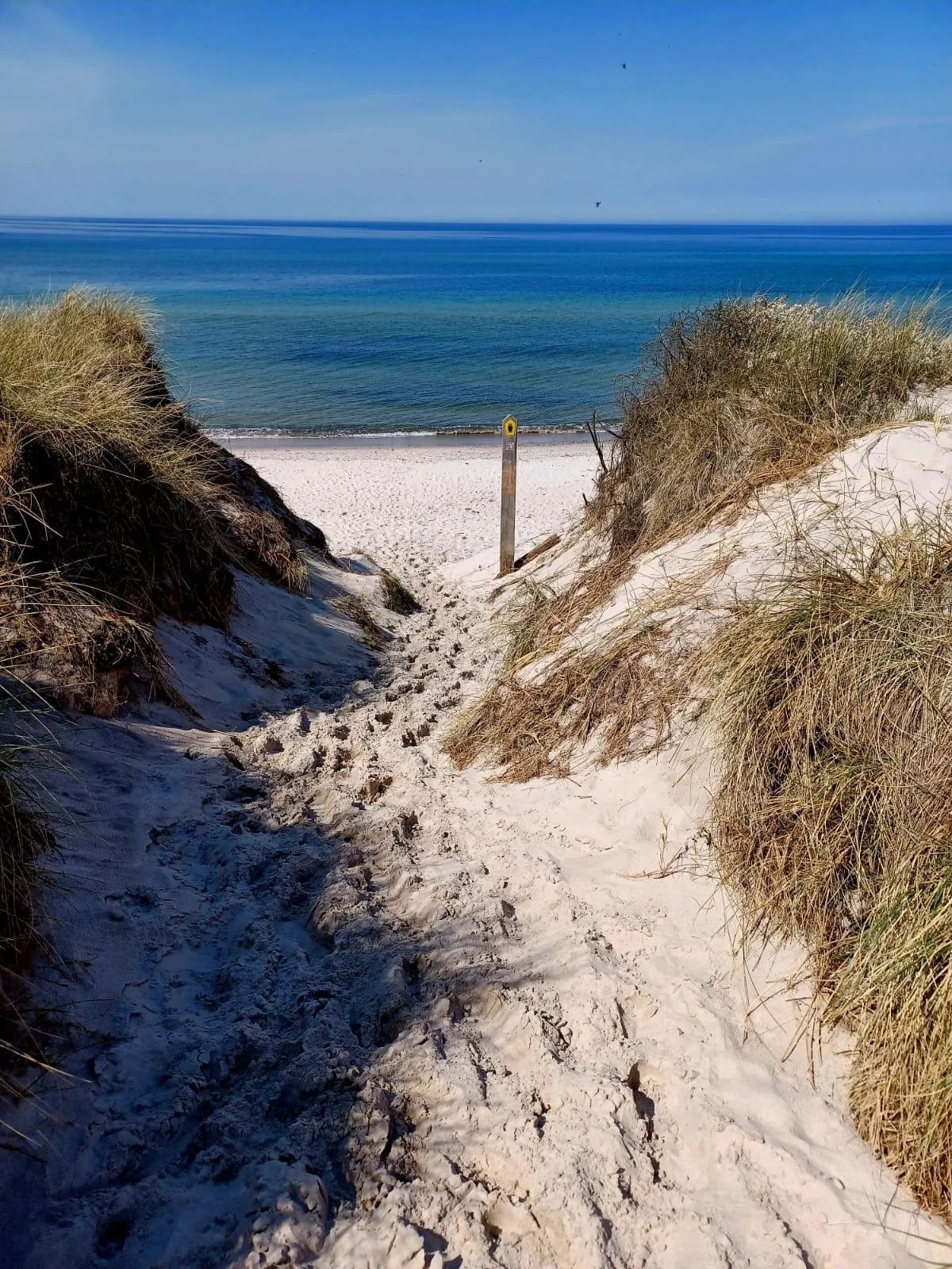 FeWo Weststrand - Heuser Prerow