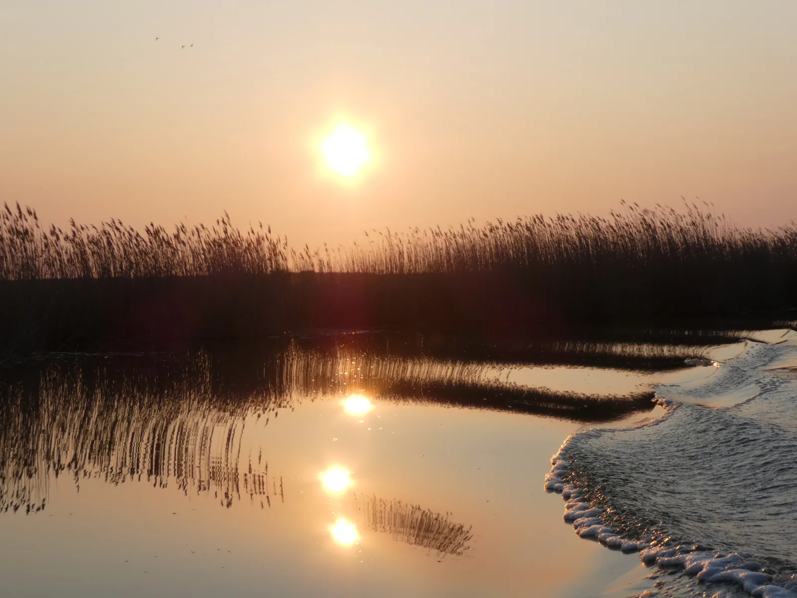 FeWo Weststrand - Heuser Prerow