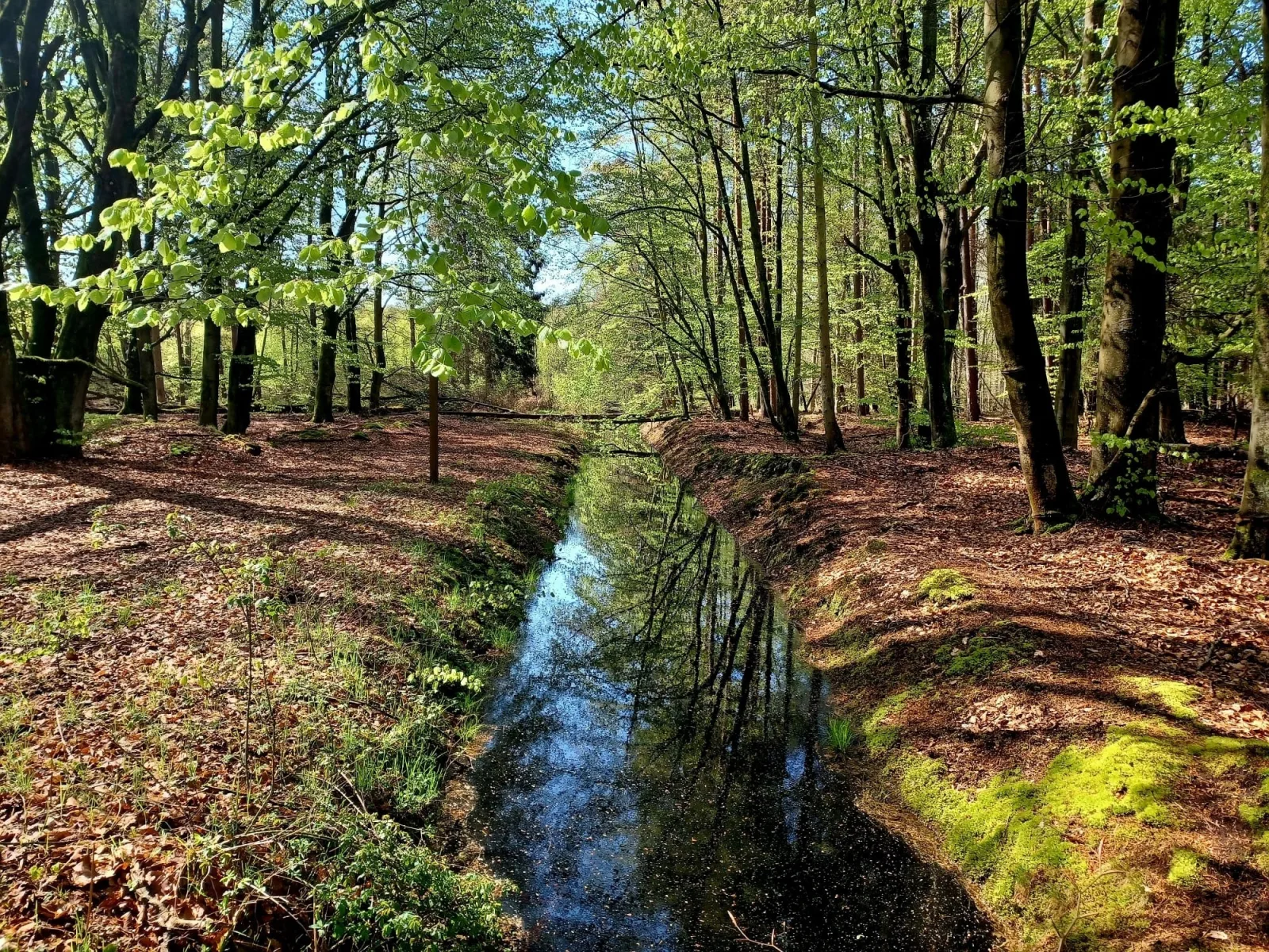 FeWo Weide - Ulenhoef