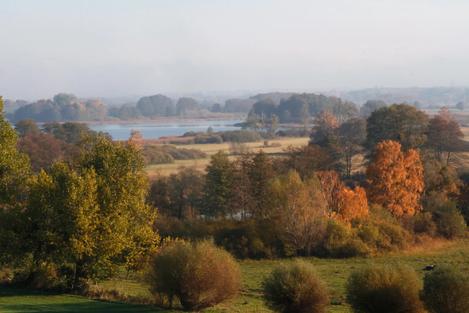 Großzügiges Ferienhaus für Familien & Gruppen - Vorwerk Seehausen in Oberuckersee Uckermark