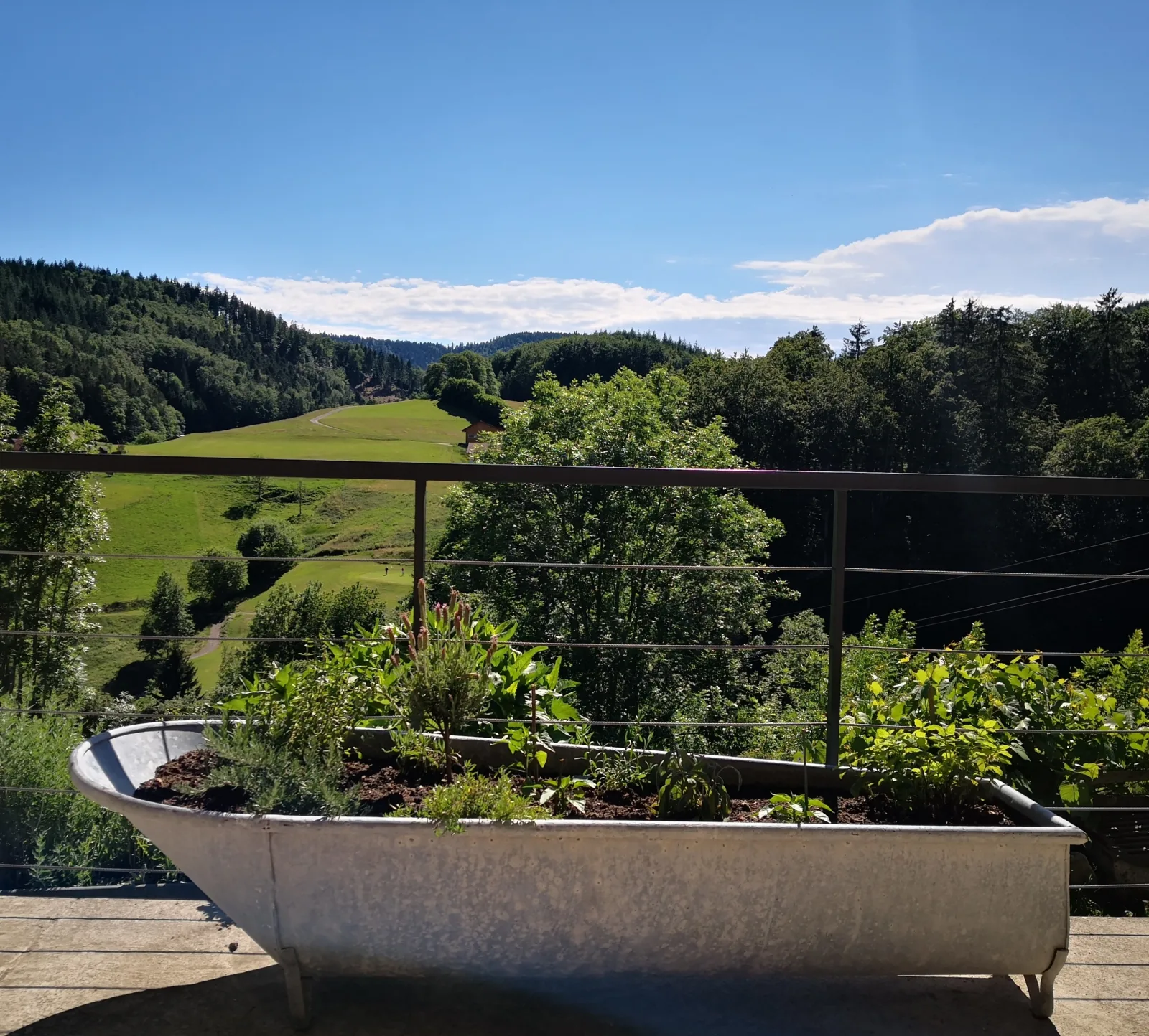 Ferienwohnung Belchenliebe