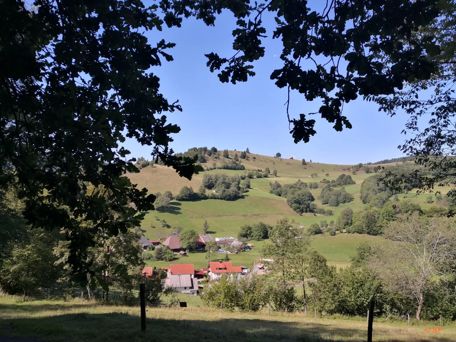 Ferienwohnung Belchenliebe