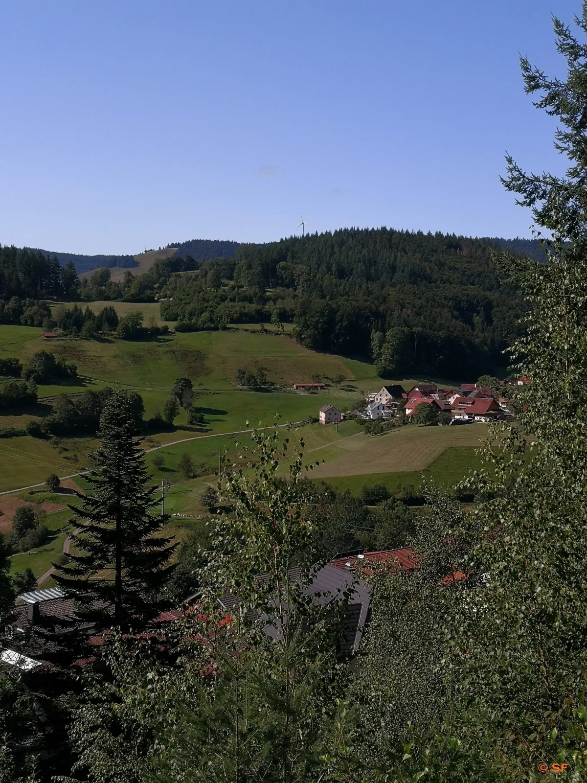 Ferienwohnung Belchenliebe