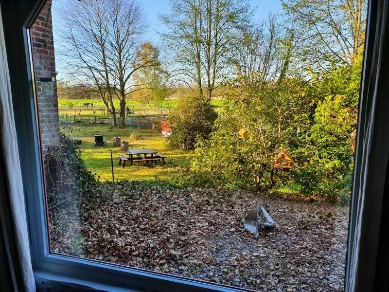 Traumhaftes Reetdachhaus "Grote Eken" in der Lüneburger Heide