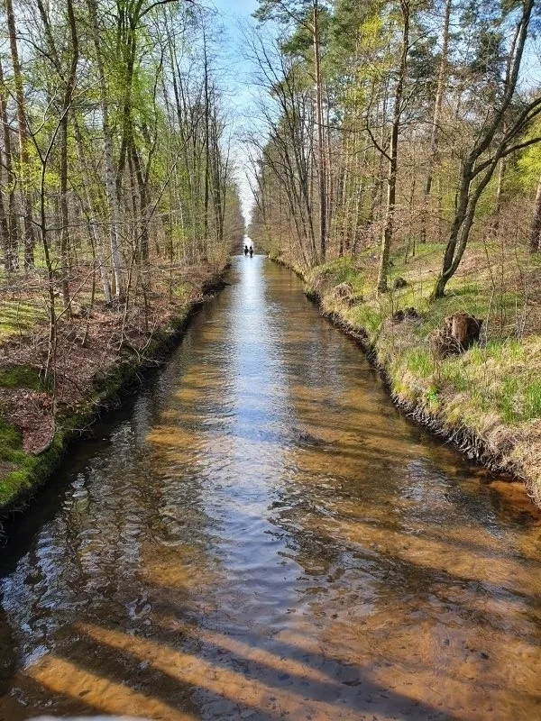 Traumhaftes Reetdachhaus "Grote Eken" in der Lüneburger Heide