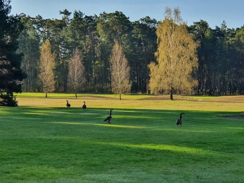 Traumhaftes Reetdachhaus "Grote Eken" in der Lüneburger Heide