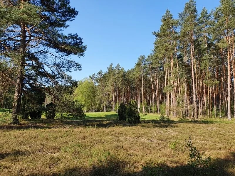 Traumhaftes Reetdachhaus "Grote Eken" in der Lüneburger Heide