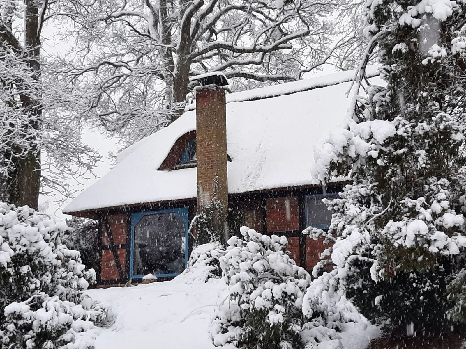 Traumhaftes Reetdachhaus "Grote Eken" in der Lüneburger Heide