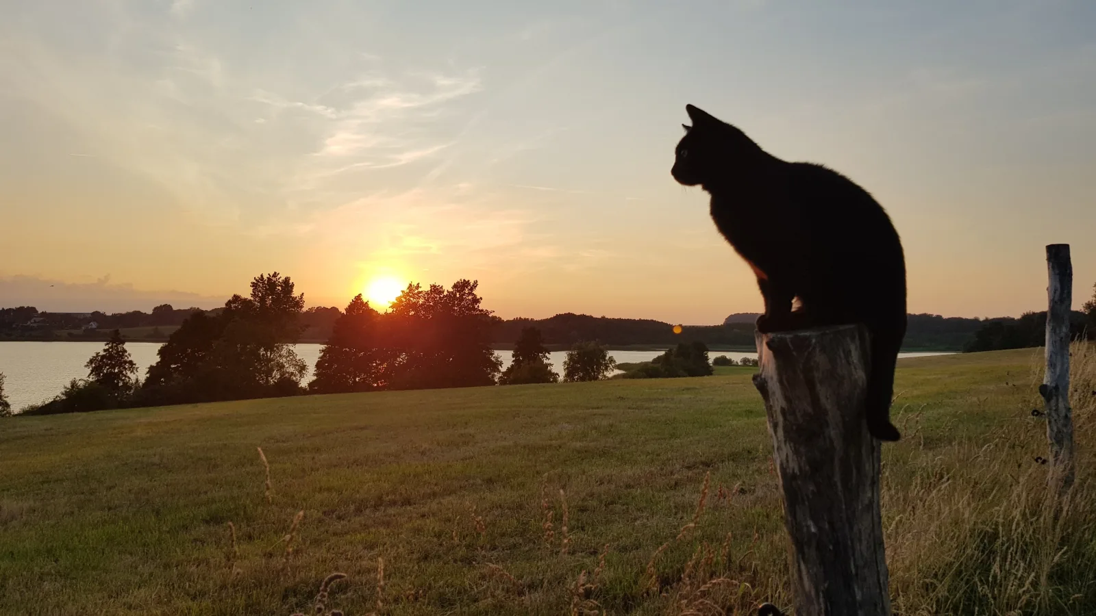 Seeblick