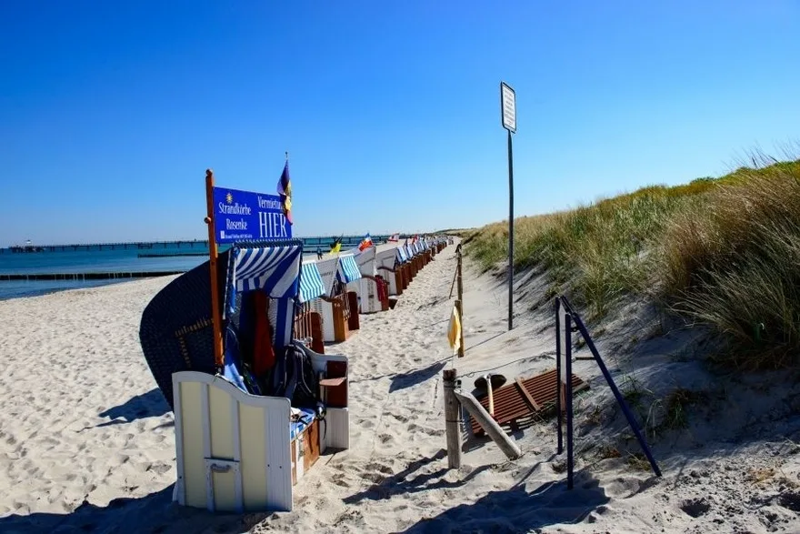 Strandhafer