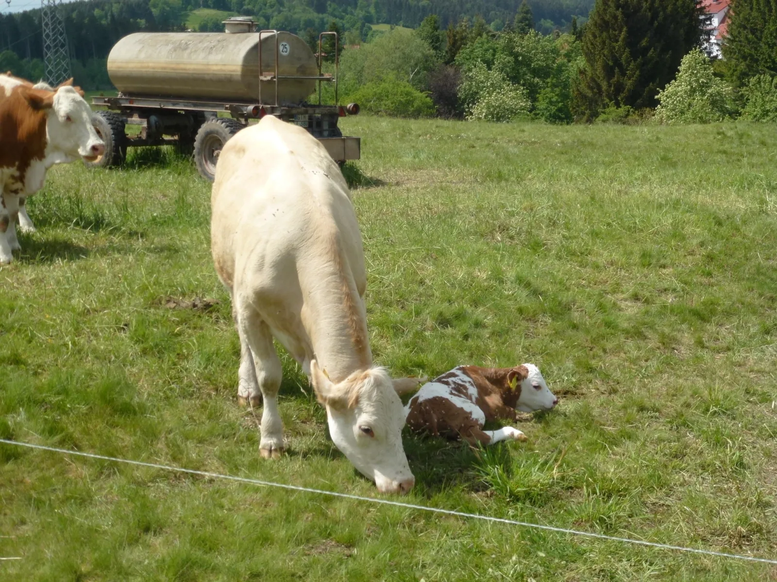 Ferienwohnung Bradatsch