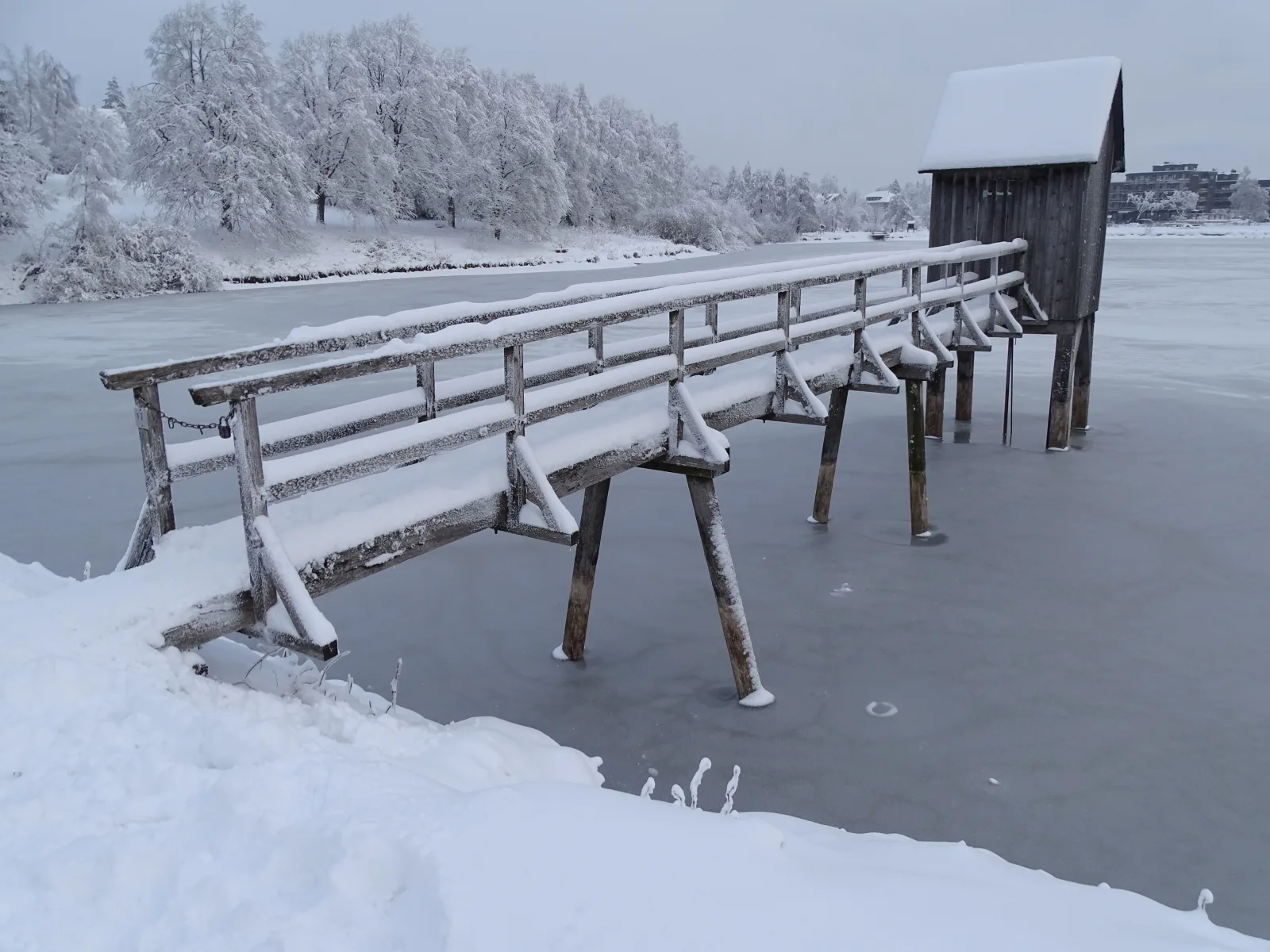 Hahnenkleer Hütte Harzliebe