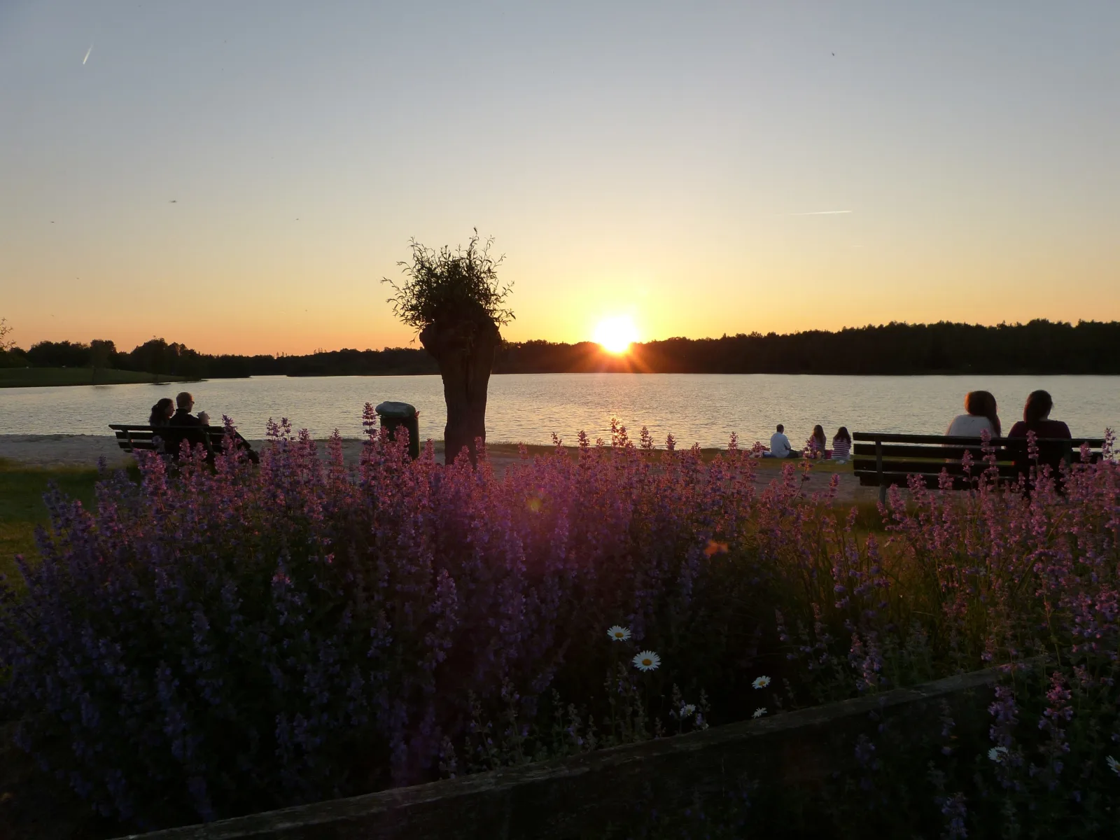Obergeschoss Wohnung am See