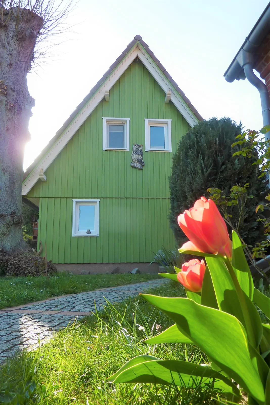 Ferienhaus Eulennest - Ulenhoef