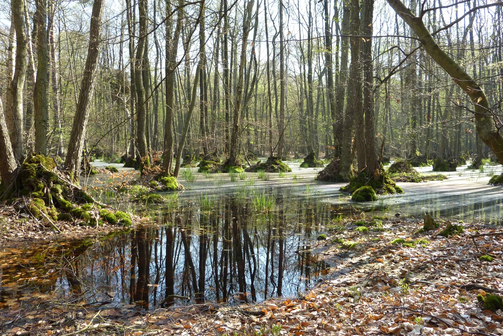 FeWo Eibe - Ulenhoef
