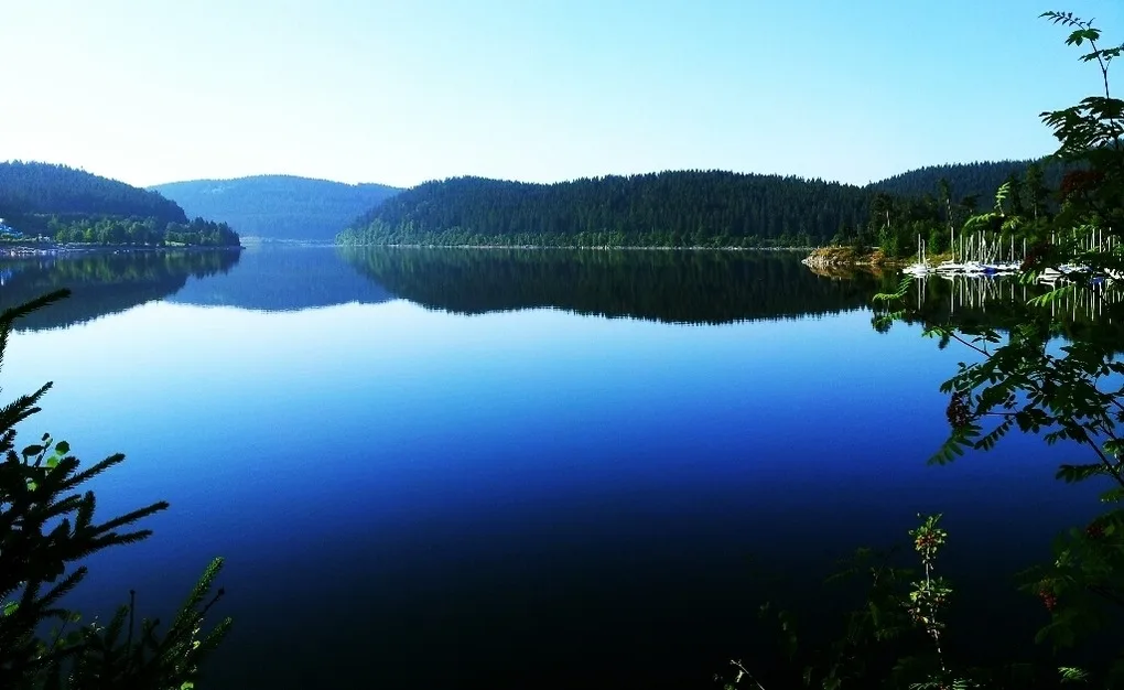 Ferienwohnung Tanja - Auszeit Schluchsee - Oase der Stille -