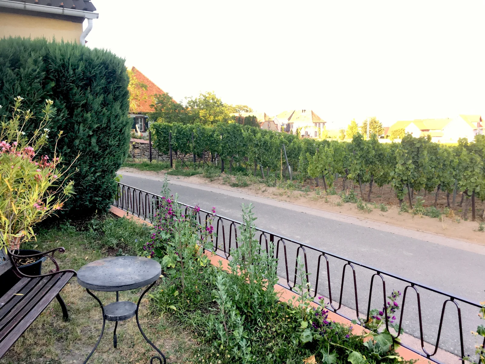 Ferienwohnung Südpfalzblick