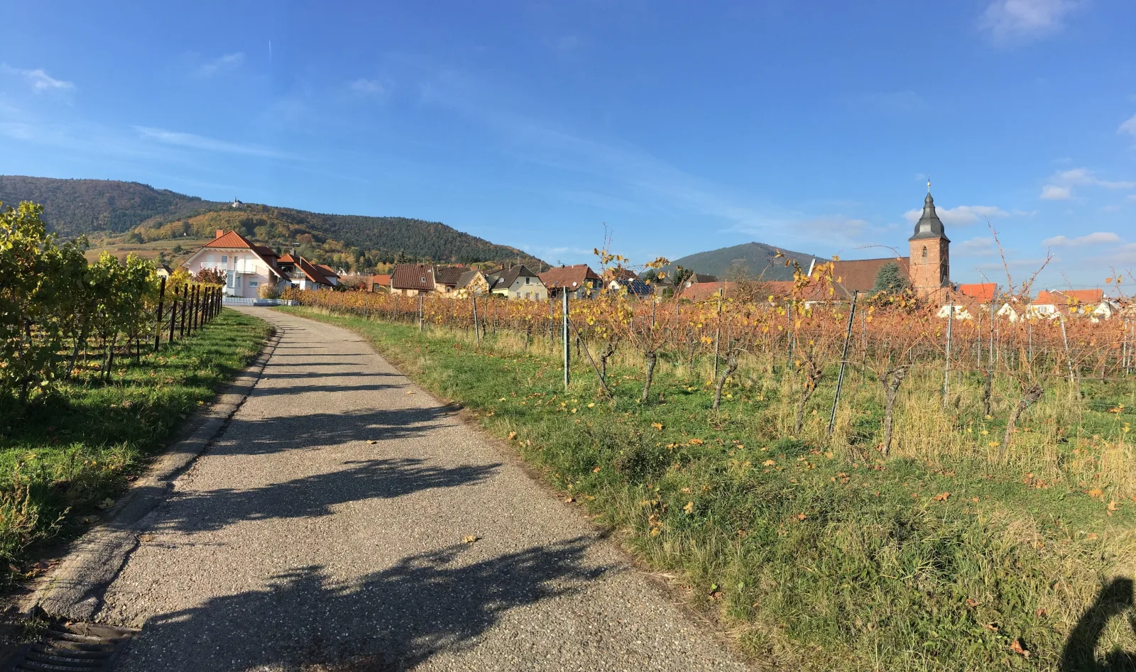Ferienwohnung Südpfalzblick